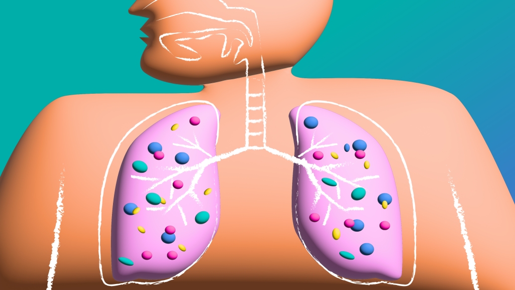 Obese BMI Microbiome Lung Airways