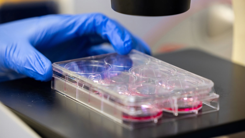 blues gloves in lab samples container