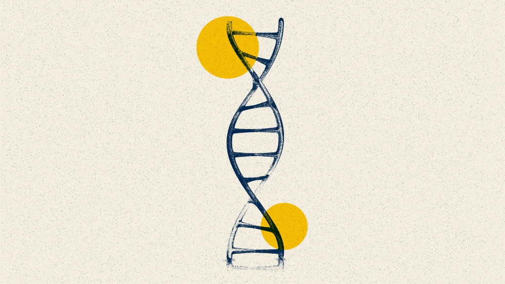 dna strand