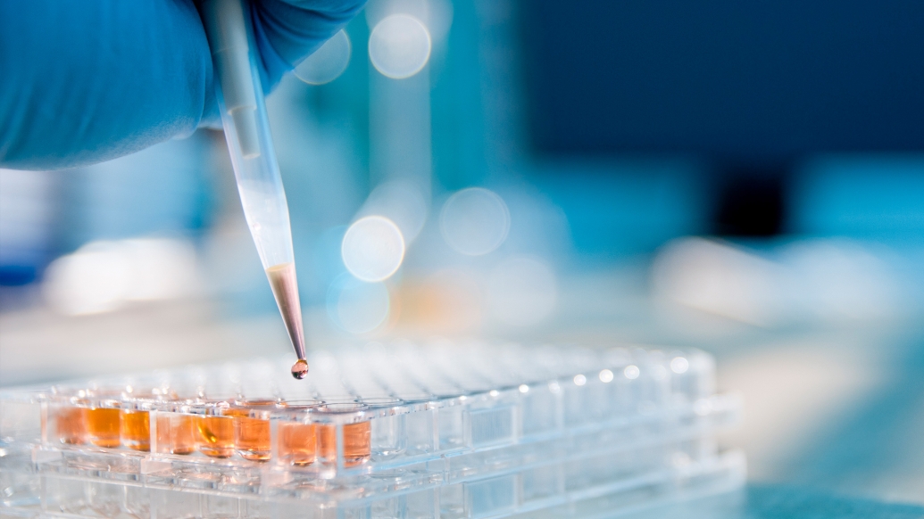 gloved hand doing microplate samples