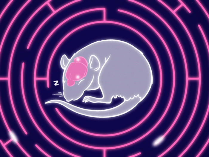 graphic drawn mouse snoozing in purple background and pink maze around it breathing while sleeping and see pink brain inside head with white sparkles fading in and out