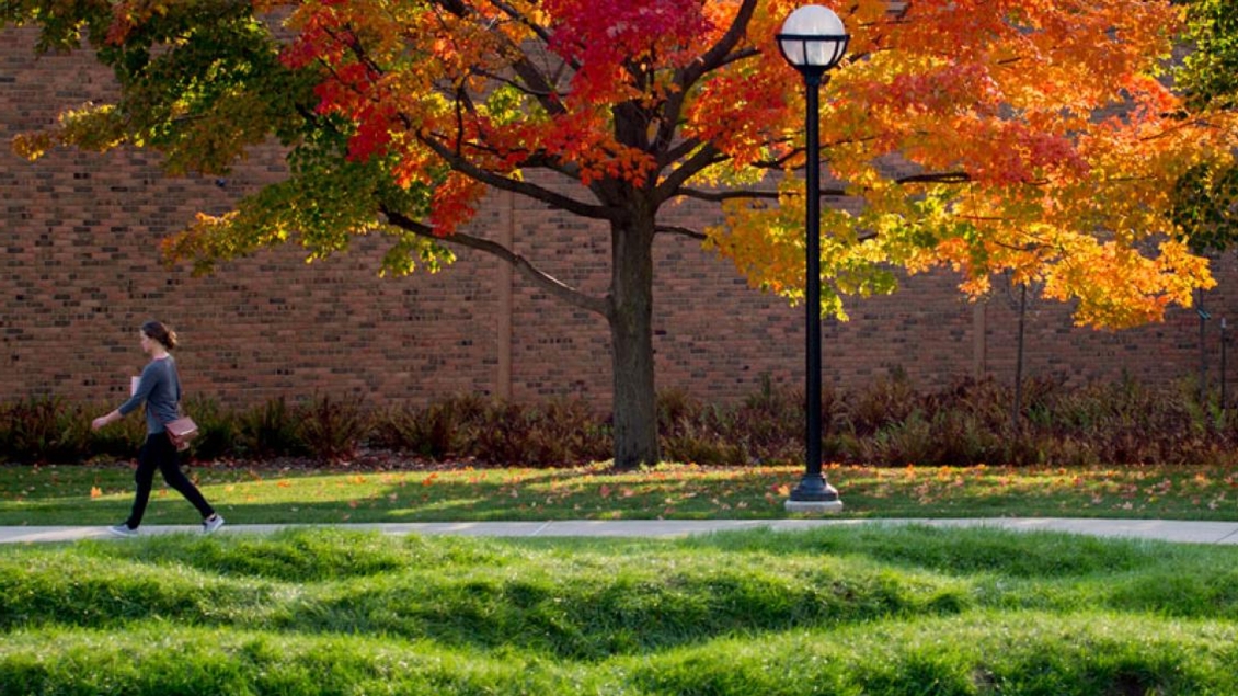 A person walking across campus near an autumn tree