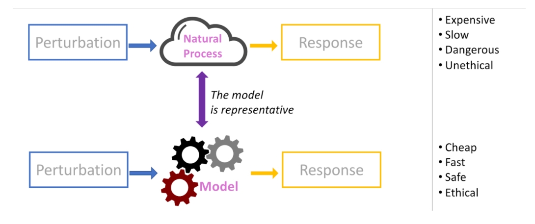 Computational Pharmacology model