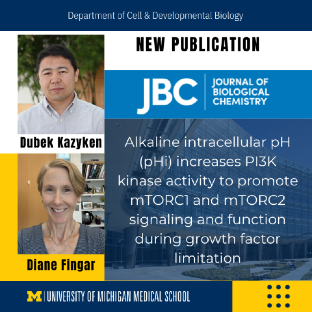 Dubek Kazyken and Diane Fingar publication announcement