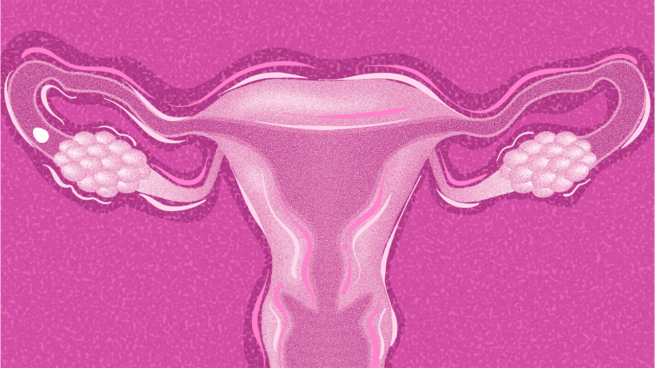 pink graphic of uterus close up and egg dropping through 