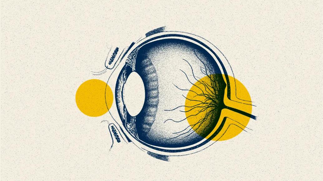 eye drawing lab note