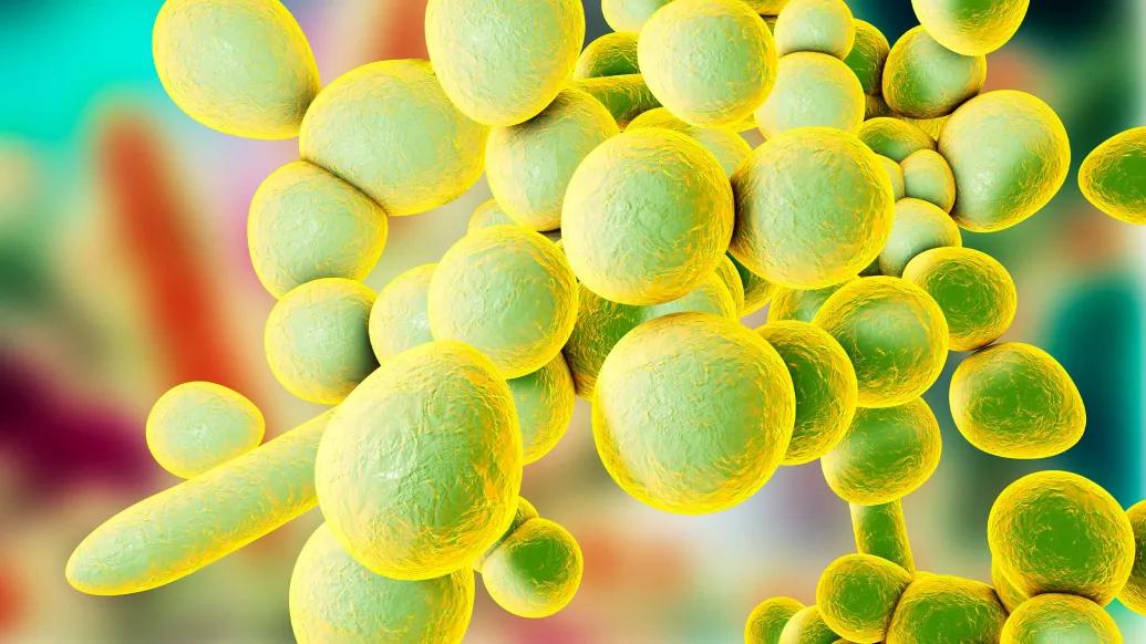 green circle cells close together highlighted in yellow