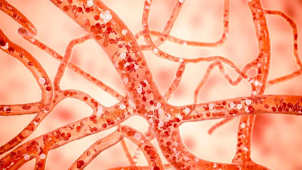 Cell Stinky Discovery reveals how this common stinky gas is processed to promote ...