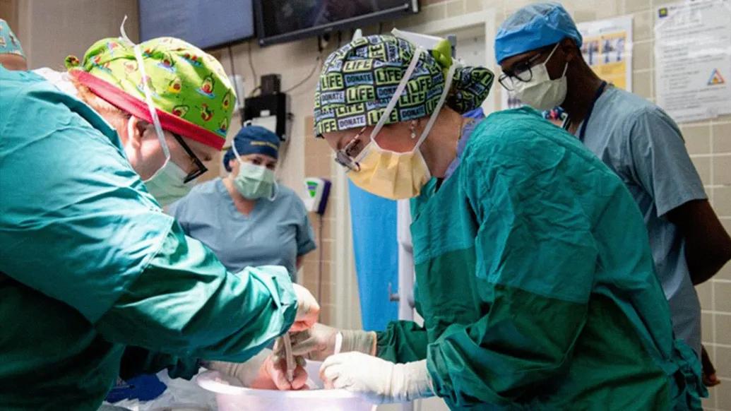 surgeons 