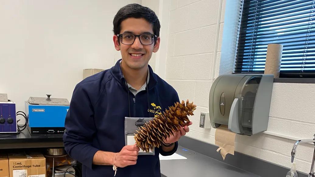 Sahil Tolia holding a large sugar pine cone