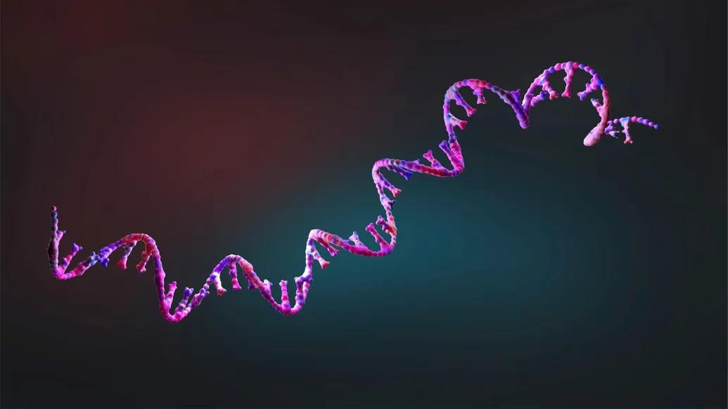 A structural biologist weighs in on the tricky task of determining RNA ...