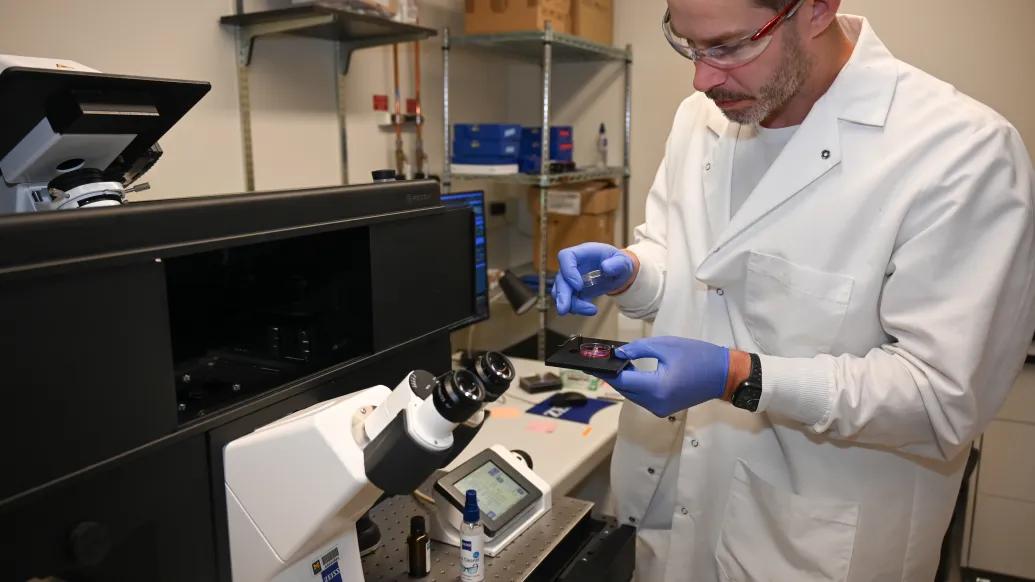 Dr. Joseph Wider prepares cells for the microscope