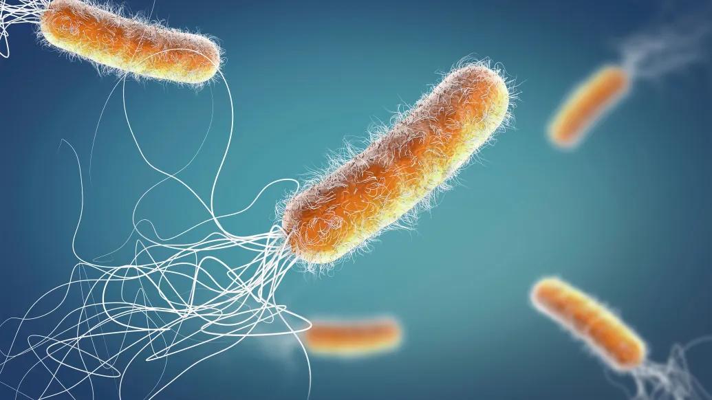 orange long germ cell floating through air with blue background with white strings following each which are going in all different directions