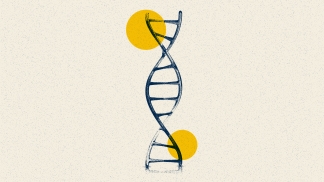 dna strand