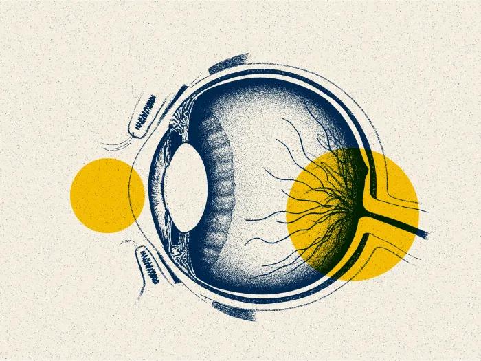 eye drawing lab note