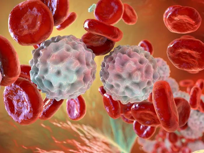 Graphic of red and white blood cells in a vein