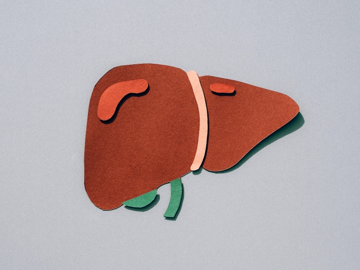 liver drawing red and green