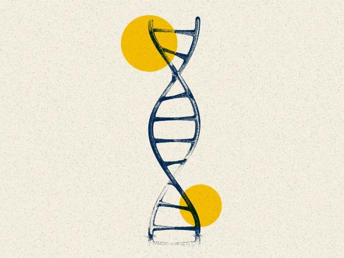dna yellow blue