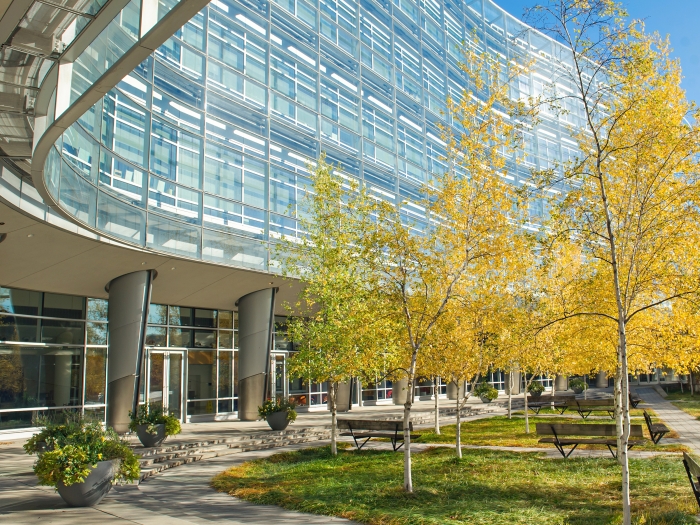 exterior shot of biomedical science research building a researcher is sitting on a bench underneath a tree in bloom