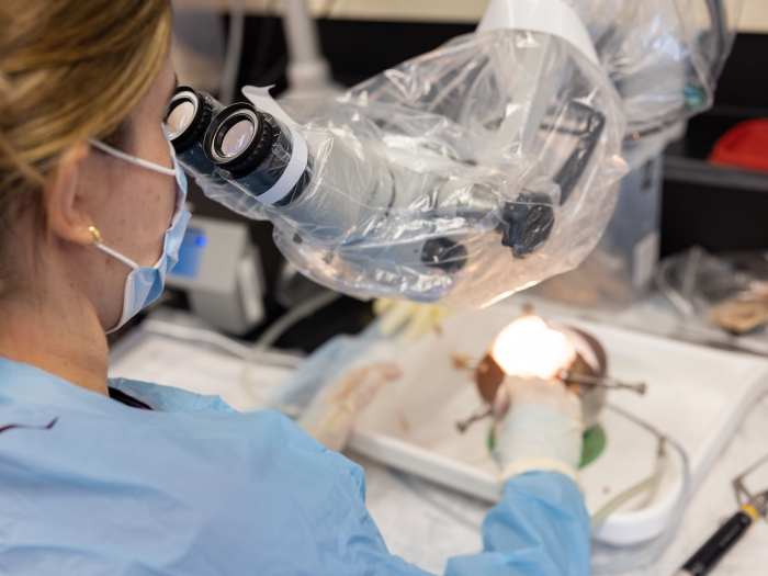 woman in lab with microscope