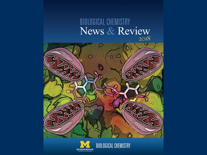 bio chem news & review pamphlet 2018