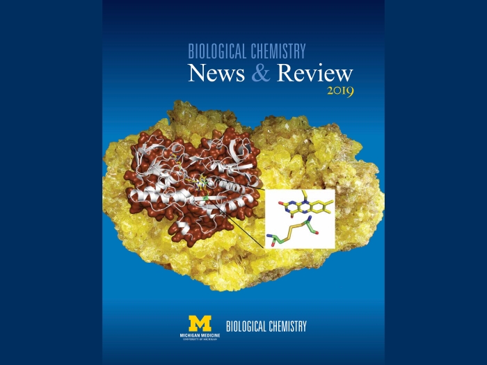 biochem news & review pamphlet 2019