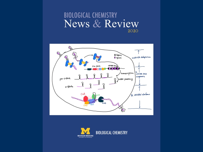 bio chem. news & review pamphlet 2020