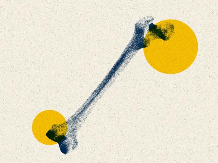 bone yellow blue
