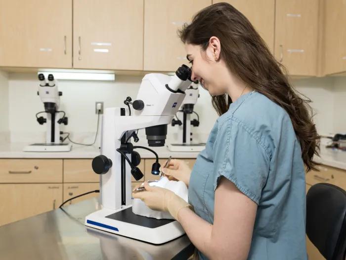 student looking into microscope 