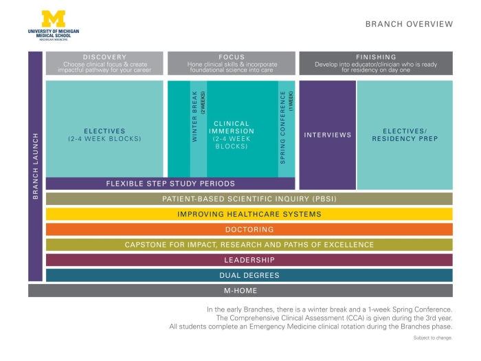 Branch Overview graphic