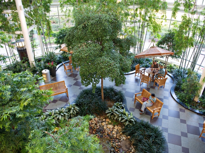 Above shot of the CVC Atrium which is filled with green plants, benches, and cafe seating.