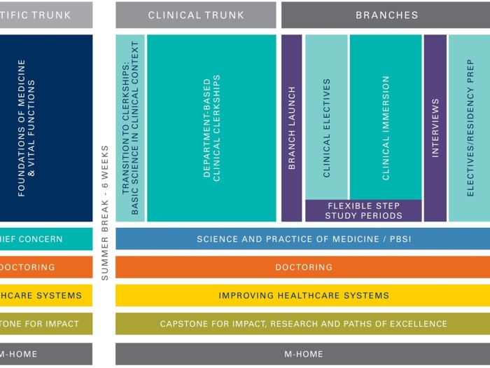A graphic detailing MD Curriculum