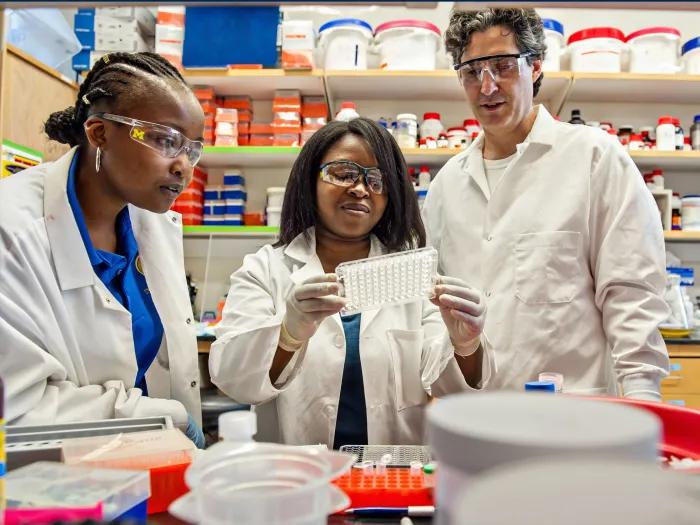 A group of people collaborating in a lab