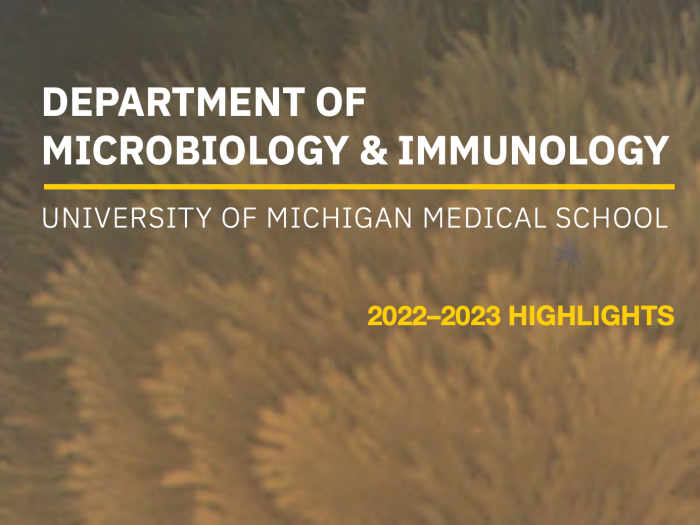 Cover of the annual report with the name of the Department of Microbiology and Immunology