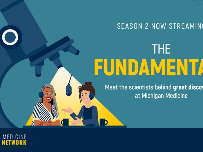 The Fundamentals podcast, season 2