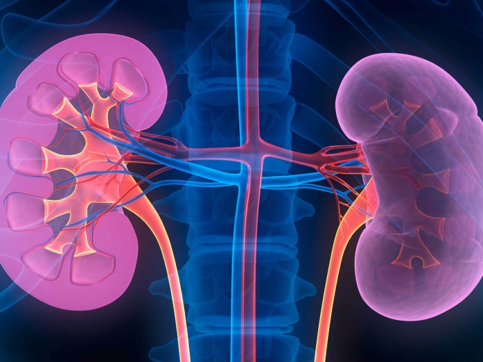 How Does APS Impact My Kidneys, and How Can I Protect Them?