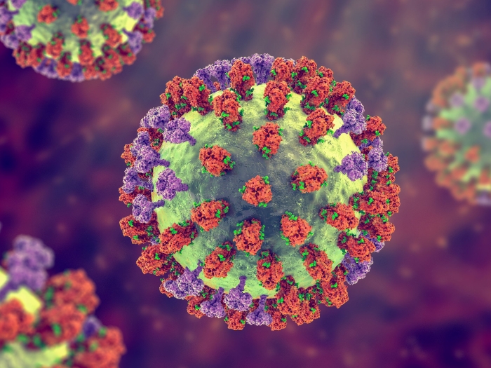 Microscopic rendering of the flu virus with green, purple and red coloring