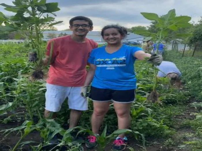 Two people standing in a garden and holding plants