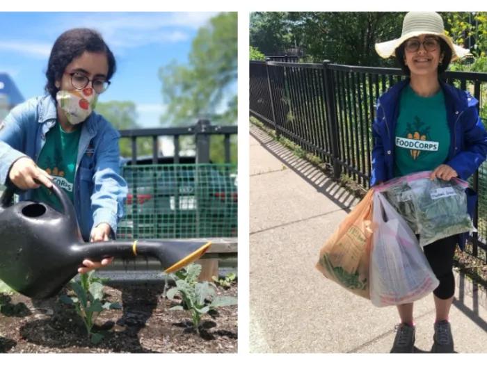 Two photos of the same person gardening, and then holding a bag of their produce