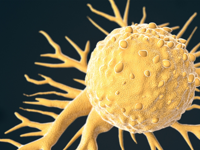 Cancer cell microscopic, colored yellow