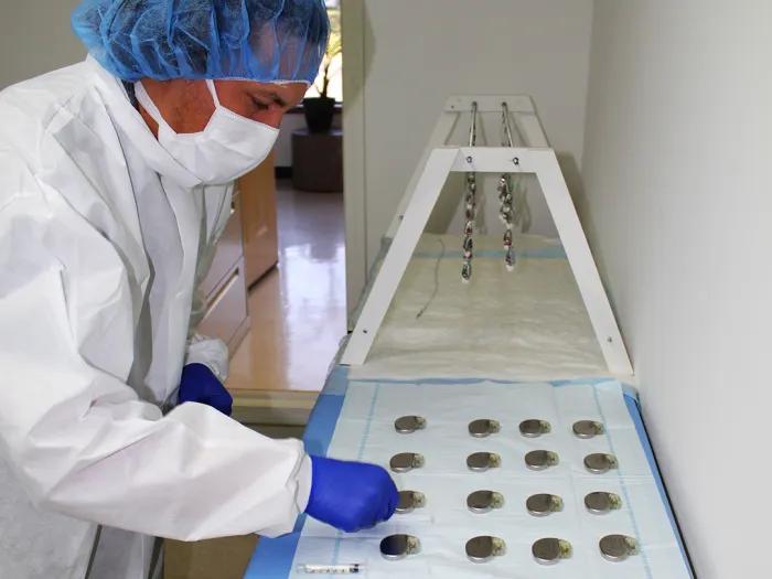 Person wearing a white lab coat, surgical mask, hairnet, and medical gloves bending over some lab and research equipment
