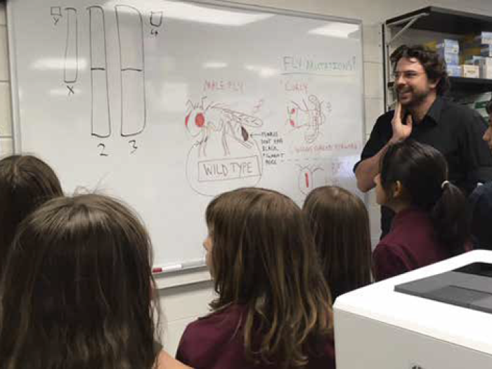 A person delivering a lecture in a classroom at a white board