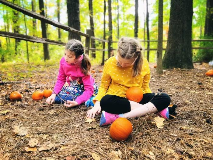 little girls who are sisters sitting in outside area with pumpkins in pink and yellow shirt 