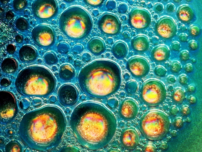 close up of yellow cells and blue greenish teal background