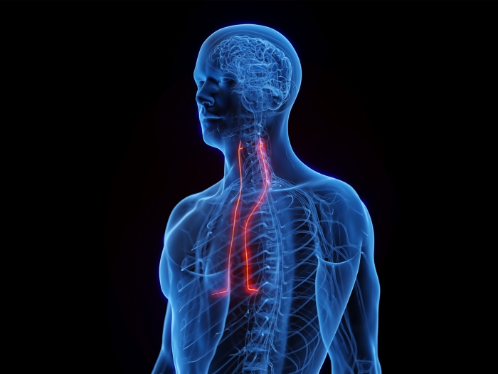 see through blue person with red lines running through neck to chest