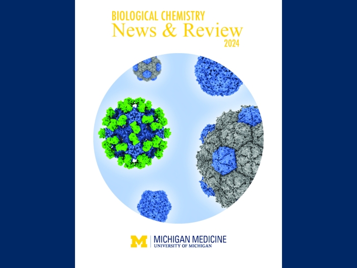 cover of 2024 newsletter from the Biological Chemistry department