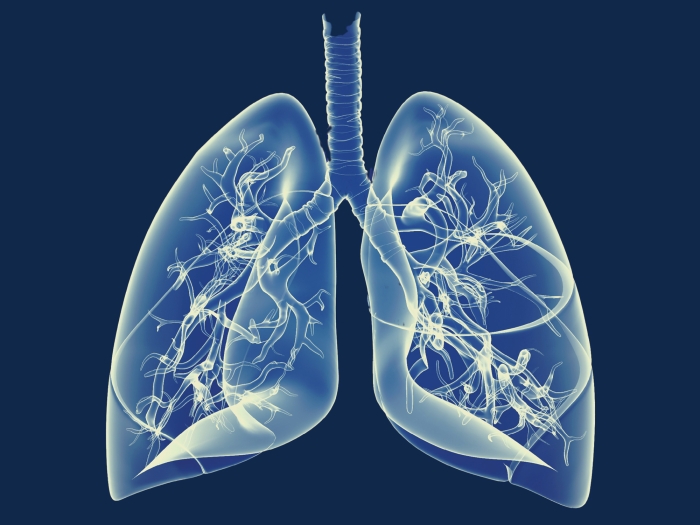 Illustration of human lungs with highlighted airways and respiratory structures on a dark blue background