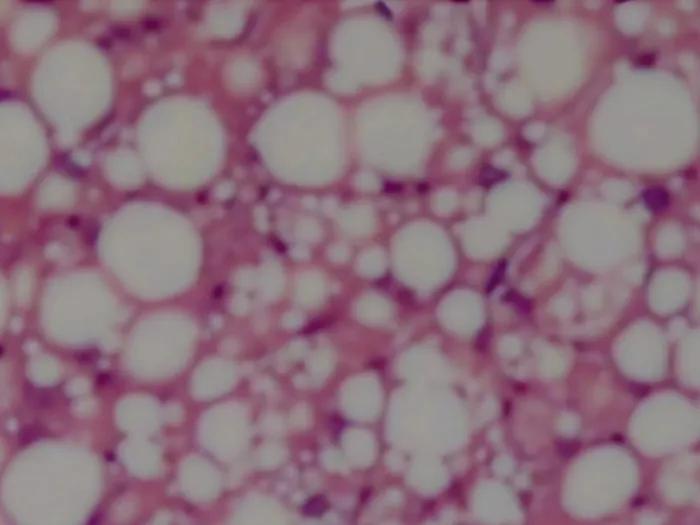 Cell Reports image