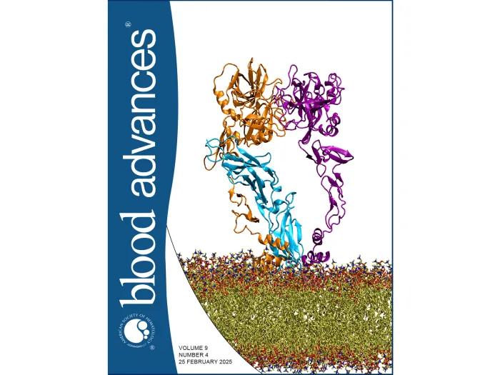 atomic-level model of membrane-bound complex that triggers blood coagulation