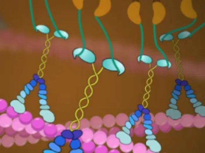 bioart image